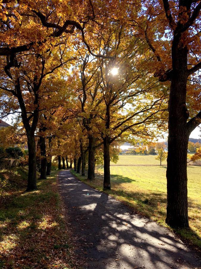 Villa Brevik Lidingö エクステリア 写真